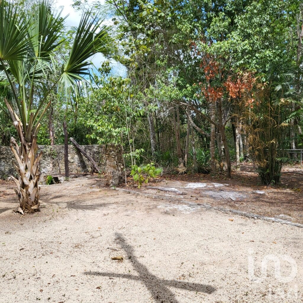 TERRENO CAMPESTRE EN VENTA OPORTUNIDAD DE INVERSIÓN LEONA VICARIO CANCUN