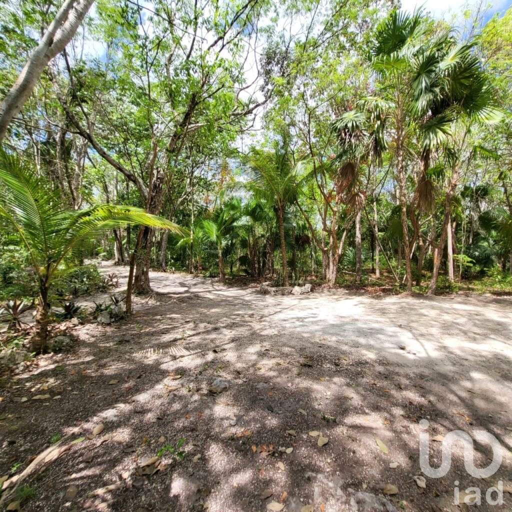 TERRENO CAMPESTRE EN VENTA OPORTUNIDAD DE INVERSIÓN LEONA VICARIO CANCUN