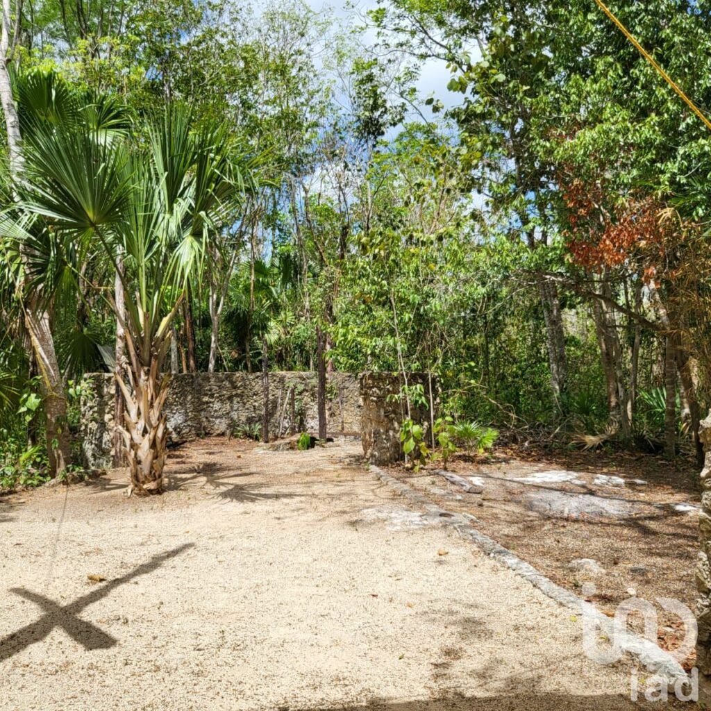 TERRENO CAMPESTRE EN VENTA OPORTUNIDAD DE INVERSIÓN LEONA VICARIO CANCUN