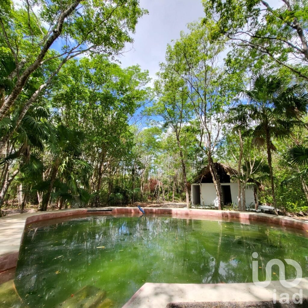 TERRENO CAMPESTRE EN VENTA OPORTUNIDAD DE INVERSIÓN LEONA VICARIO CANCUN