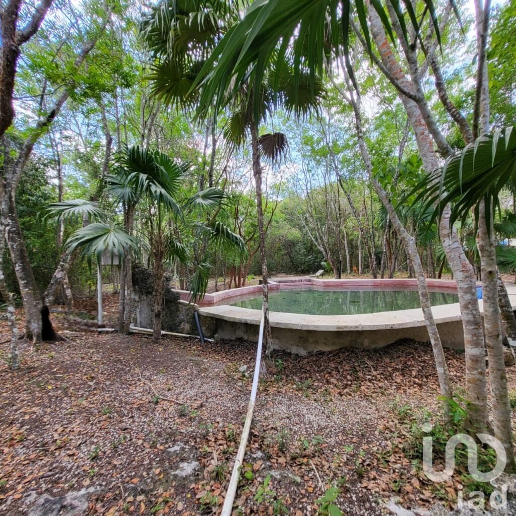 TERRENO CAMPESTRE EN VENTA OPORTUNIDAD DE INVERSIÓN LEONA VICARIO CANCUN