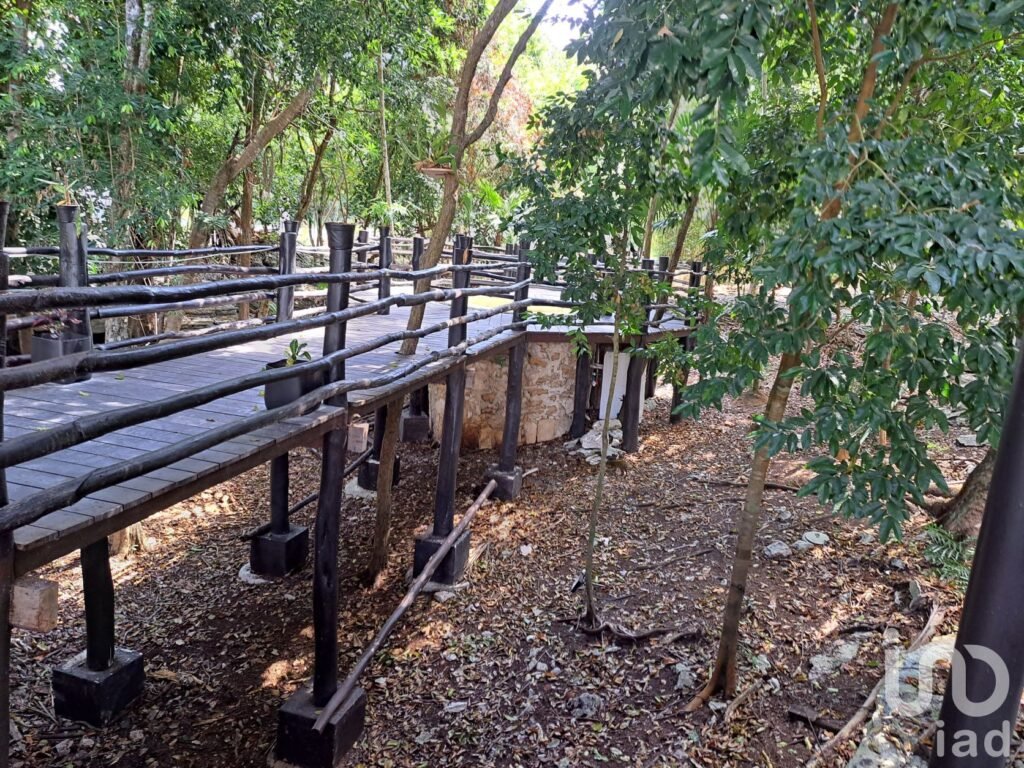 TERRENO EN VENTA ALDEA HA - PUERTO MORELOS