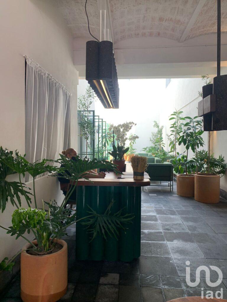 Loft en Hermosa Casa Colonial en la Colonia San Rafael