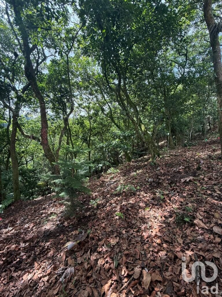 RANCHO PARA INVERSIONISTAS EN CUETZALAN