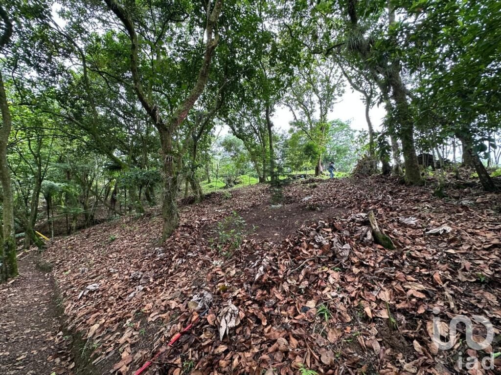 RANCHO PARA INVERSIONISTAS EN CUETZALAN