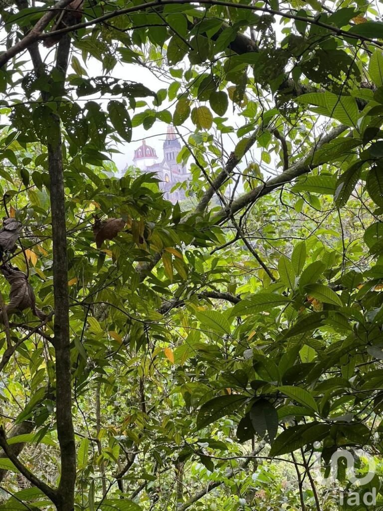 RANCHO PARA INVERSIONISTAS EN CUETZALAN