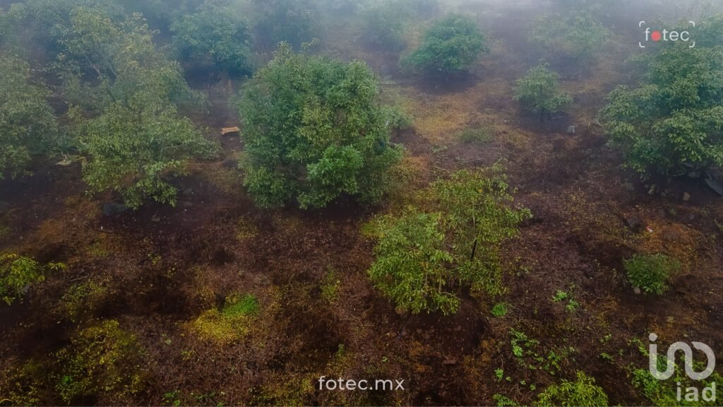 Terreno en Venta 11Ha, San Andrés-Calnali, Hidalgo