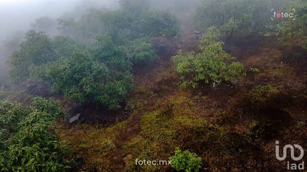 Terreno en Venta 11Ha, San Andrés-Calnali, Hidalgo