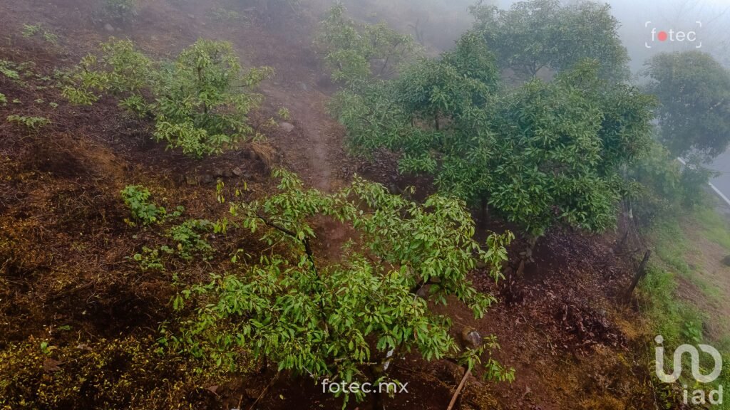 Terreno en Venta 11Ha, San Andrés-Calnali, Hidalgo