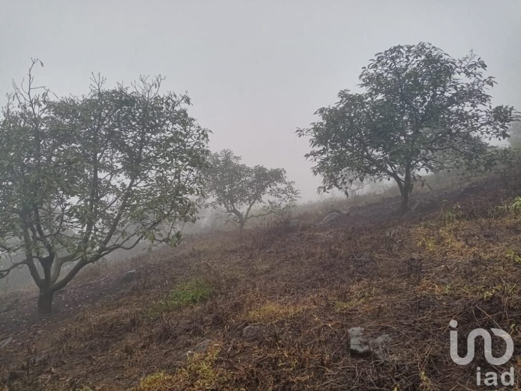 Terreno en Venta 11Ha, San Andrés-Calnali, Hidalgo