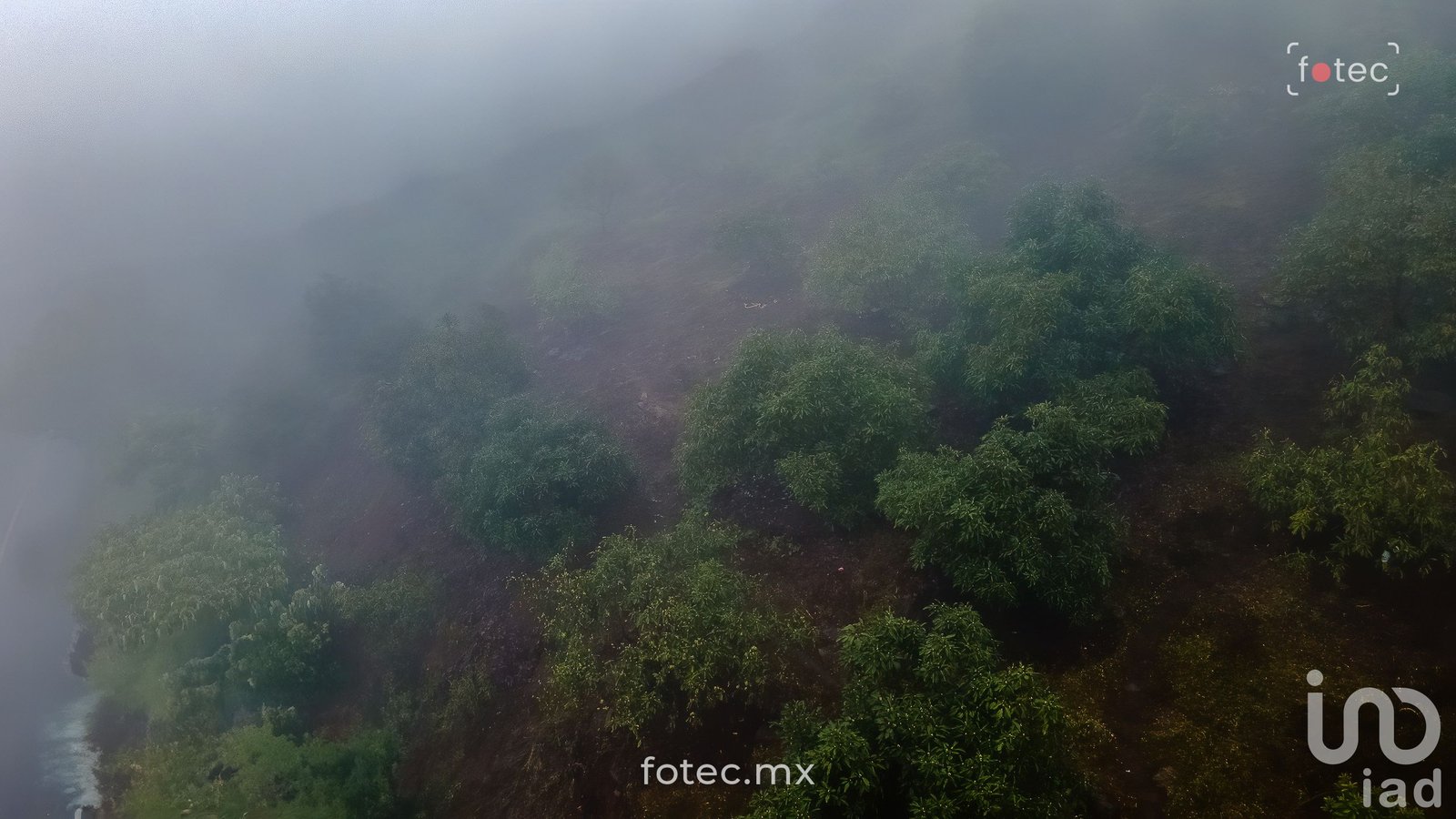Terreno en Venta 11Ha, San Andrés-Calnali, Hidalgo