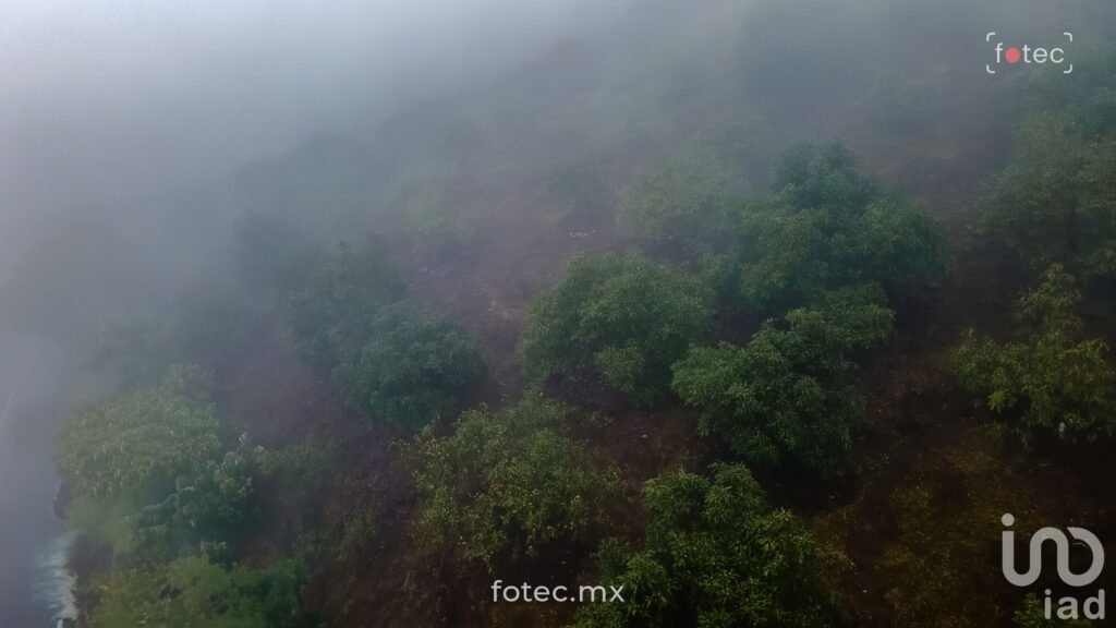 Venta de Terreno Huerto de Aguacate 5Ha, San Andrés, Hidalgo