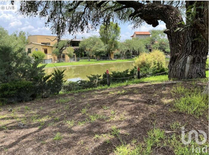 Terreno en  venta  San Miguel  de  Allende  Guanajuato