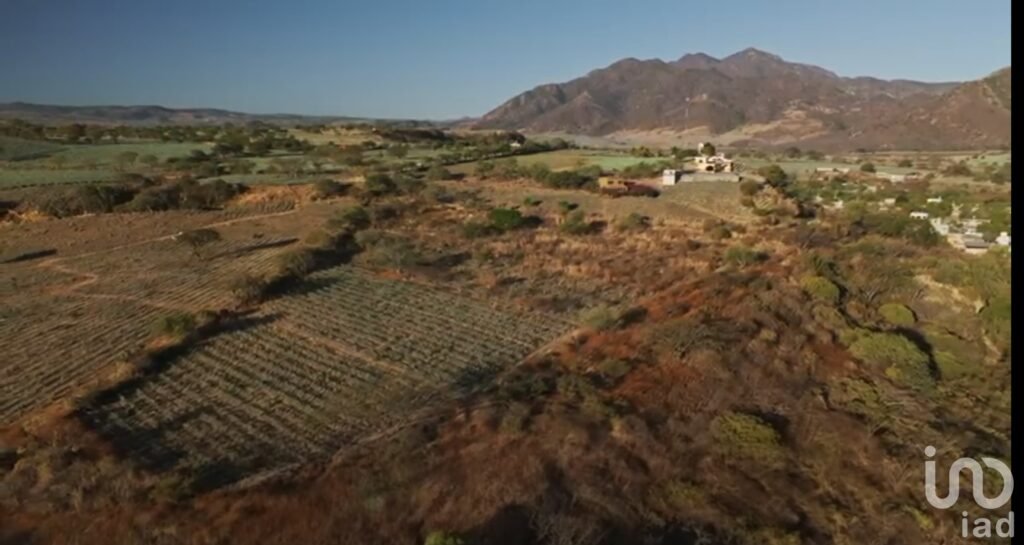 Terreno Las Campanillas Tequila Jalisco