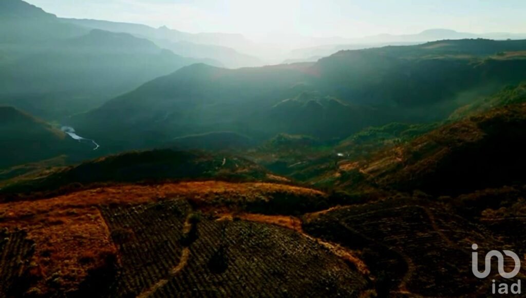 Terreno Las Campanillas Tequila Jalisco