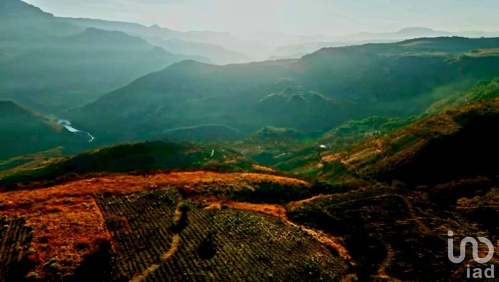 Terreno Las Campanillas Tequila Jalisco