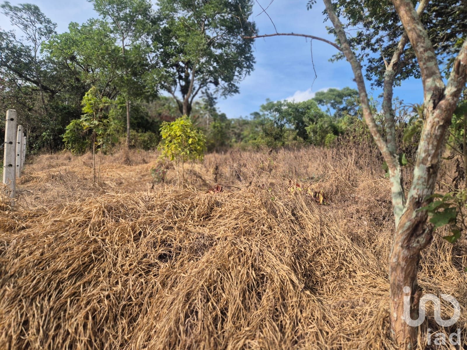 TERRENO EN VENTA, FRACC. SAN FRANCISCO,ESTANZUELA MPIO. EMILIANO ZAPATA