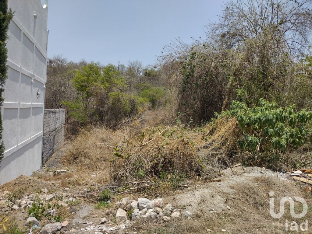 Terreno Urbanizado en Venta, Fraccionamiento Bonanza, Tlatenchi, Jojutla, Morelos