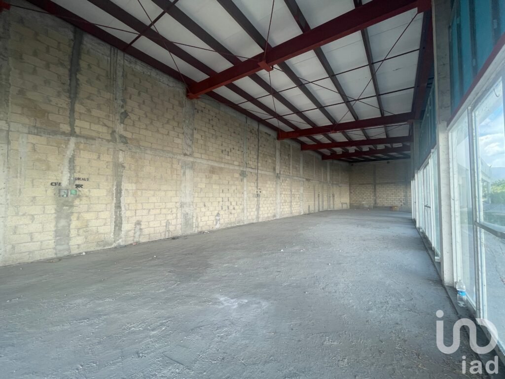 Renta Locales comerciales Iguala, Guerrero