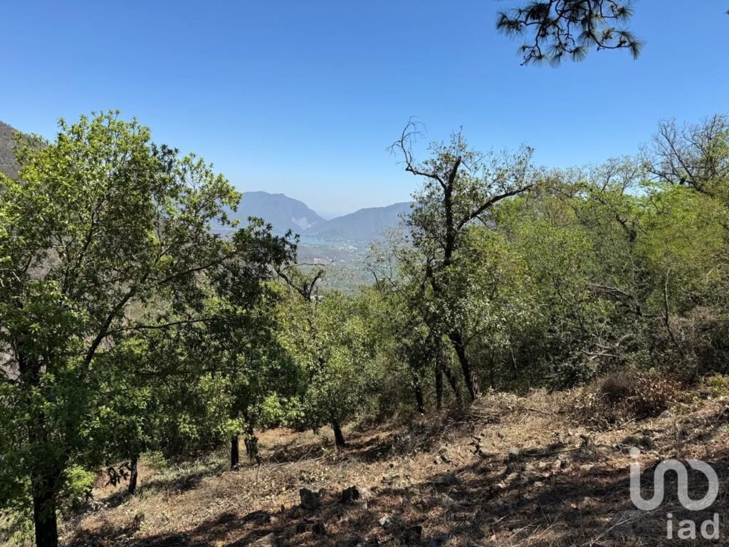 Terreno en Venta Cola de Caballo