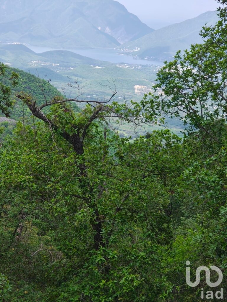 Terreno en Venta Cola de Caballo