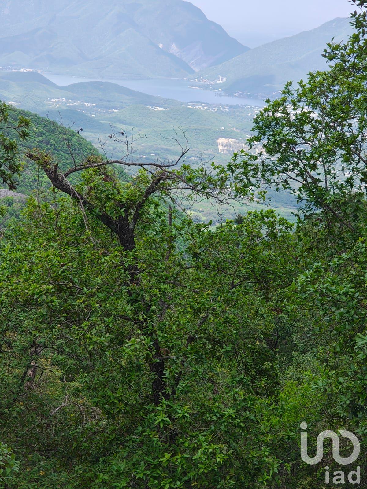 Terreno en Venta Cola de Caballo