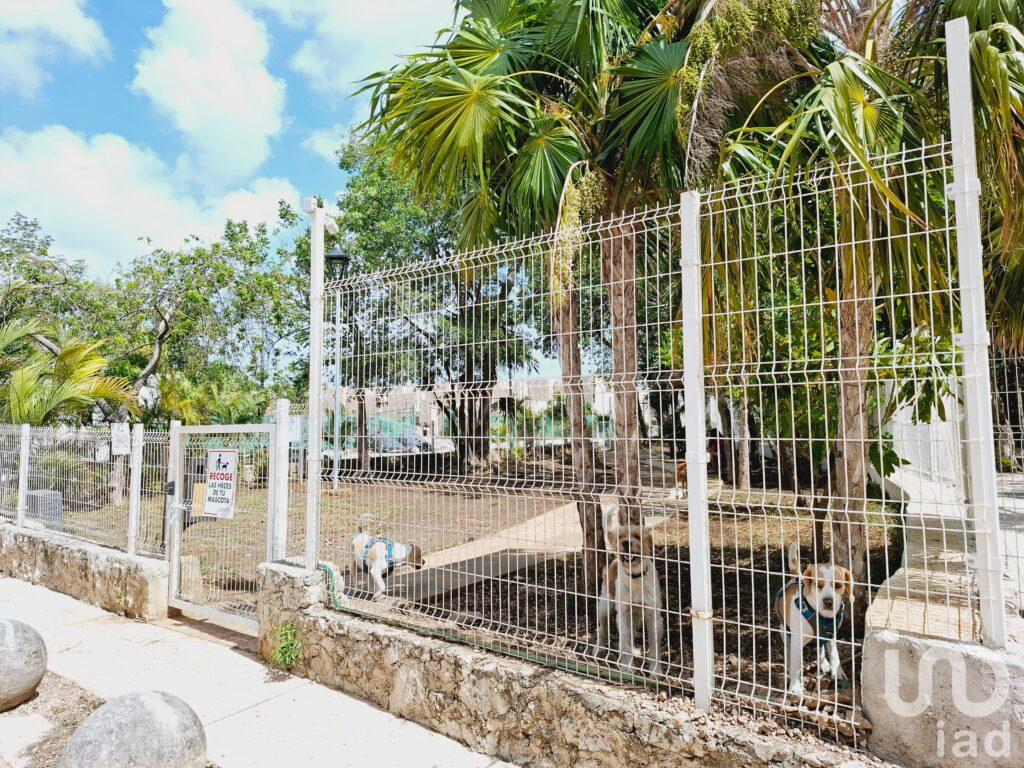 VENTA DE DEPARTAMENTO NUEVO EN EL CENTRO DE CANCUN