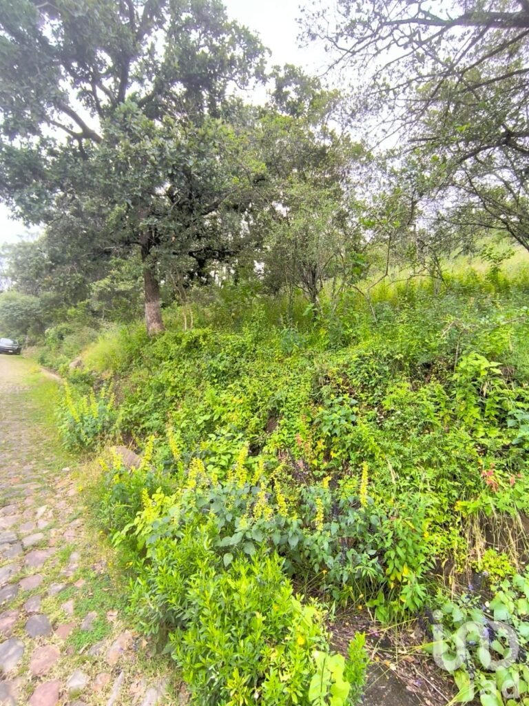 Terreno con Escritura cerca de Autopista de Cuota Amealco Celaya El Bathan