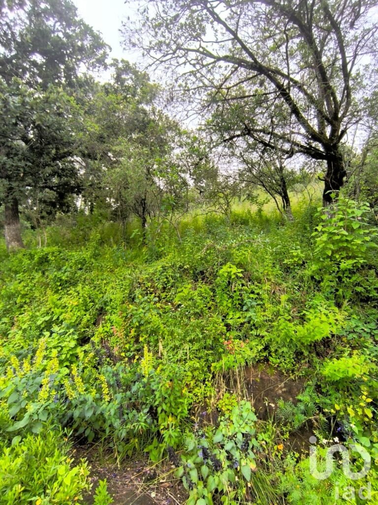 Terreno con Escritura cerca de Autopista de Cuota Amealco Celaya El Bathan