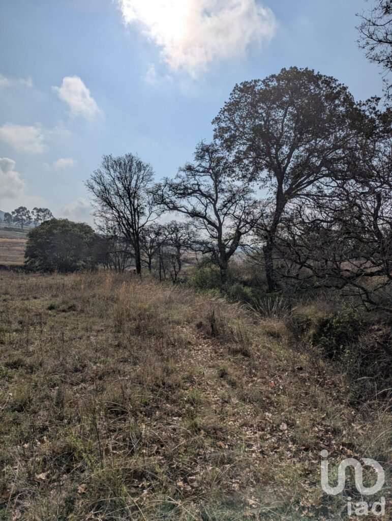 1000m²  para Eco villa. Escritura , agua y luz Amealco de Bonfil, Queretaro
