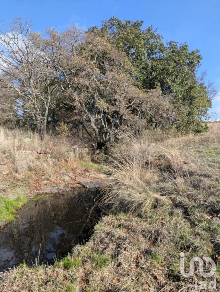 1000m²  para Eco villa. Escritura , agua y luz Amealco de Bonfil, Queretaro