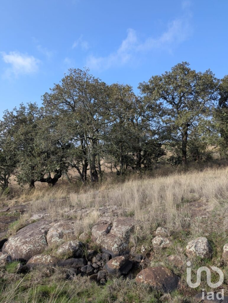 1000m²  para Eco villa. Escritura , agua y luz Amealco de Bonfil, Queretaro