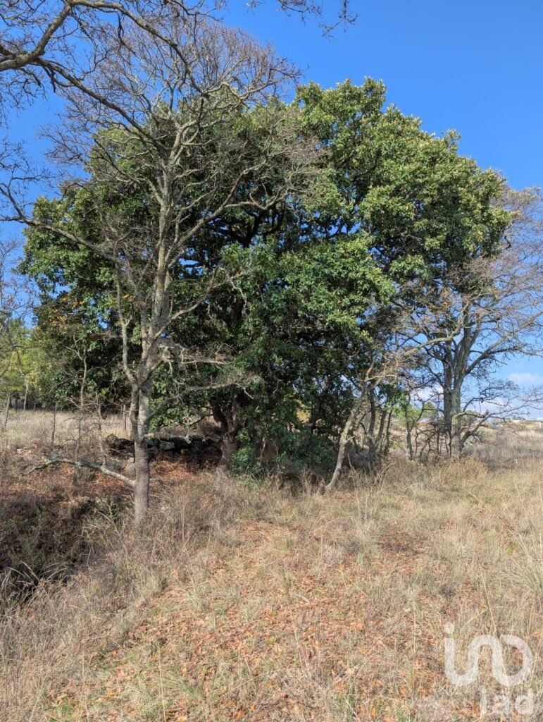 1000m²  para Eco villa. Escritura , agua y luz Amealco de Bonfil, Queretaro