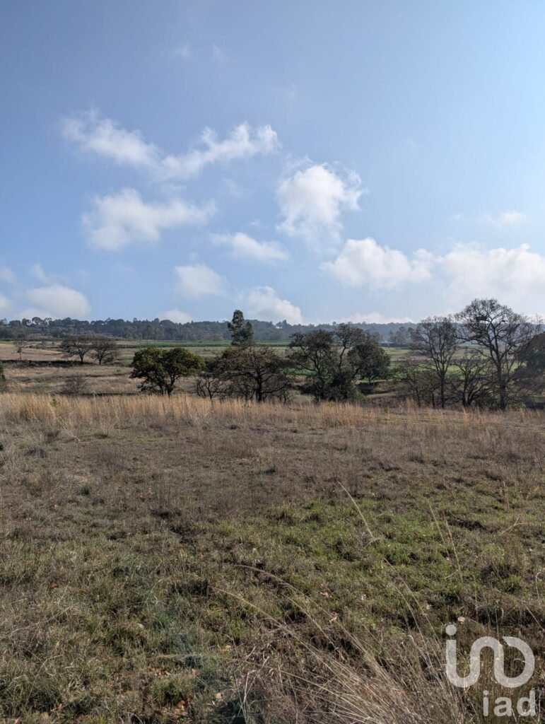 1000m²  para Eco villa. Escritura , agua y luz Amealco de Bonfil, Queretaro
