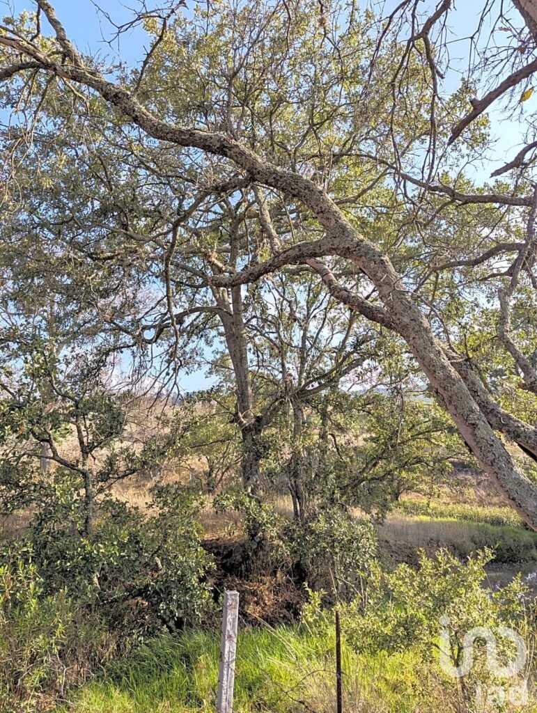 1000m²  para Eco villa. Escritura , agua y luz Amealco de Bonfil, Queretaro