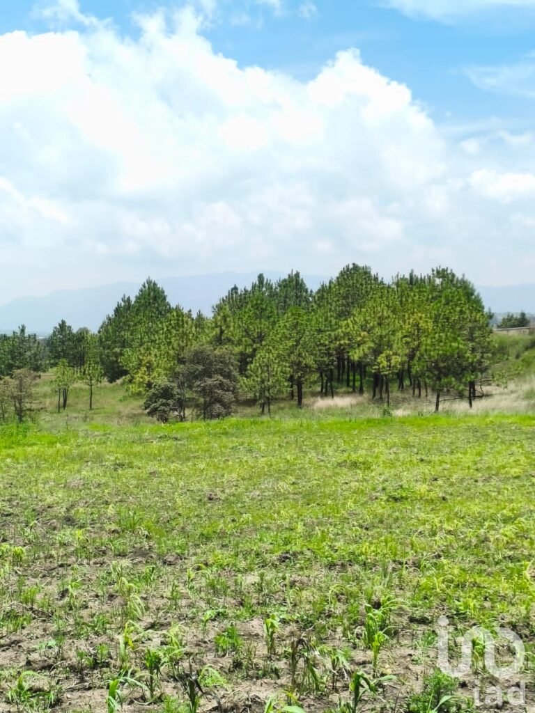 1000m² para Eco villa. Escritura , agua y luz Amealco de Bonfil, Queretaro - 2250248 terreno en venta 1000m2 para eco villa escritura agua y luz amealco de bonfil queretaro 251311