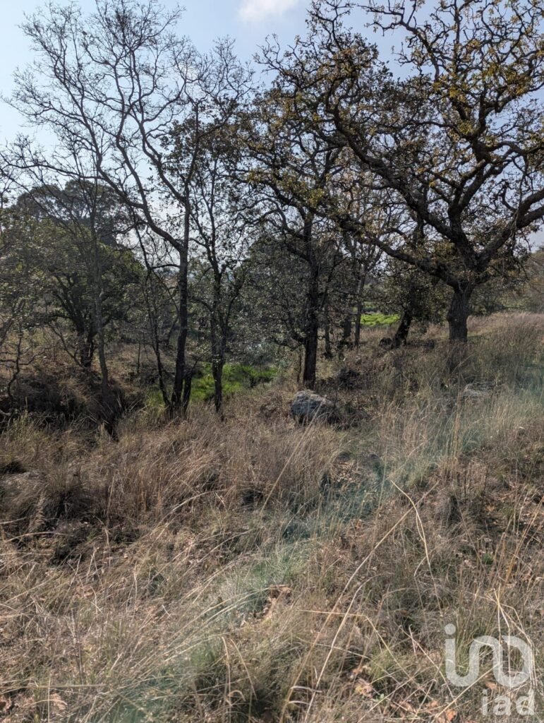 1000m²  para Eco villa. Escritura , agua y luz Amealco de Bonfil, Queretaro