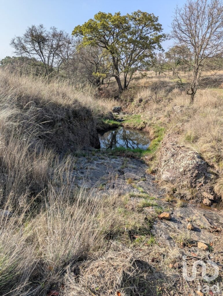 1000m²  para Eco villa. Escritura , agua y luz Amealco de Bonfil, Queretaro