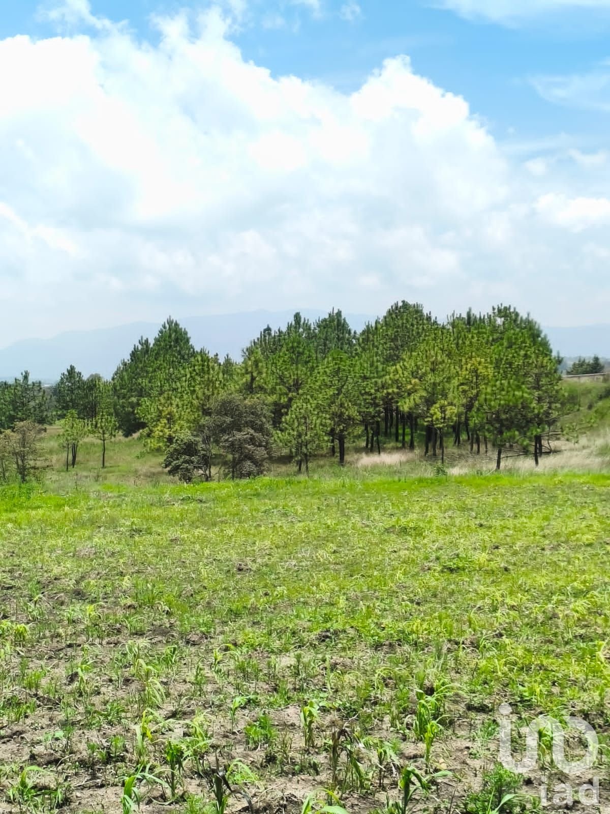 1000m²  para Eco villa. Escritura , agua y luz Amealco de Bonfil, Queretaro