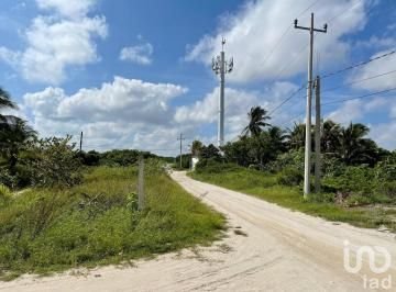 TERRENO EN VENTA EN PLAYA CHUBURNÁ, YUCATÁN, BRUNAH