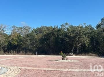 TERRENO EN VENTA EN PLAYA CHUBURNÁ, YUCATÁN, BRUNAH