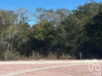 TERRENO EN VENTA EN PLAYA CHUBURNÁ, YUCATÁN, BRUNAH