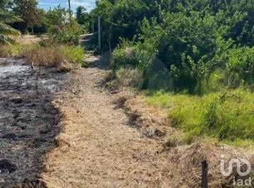 TERRENO EN VENTA EN PLAYA CHUBURNÁ, YUCATÁN, BRUNAH