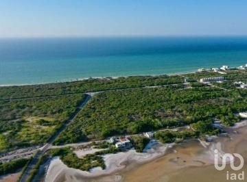 TERRENO EN VENTA EN PLAYA CHUBURNÁ, YUCATÁN, BRUNAH TERRENO EN VENTA EN PLAYA CHUBURNÁ, YUCATÁN, BRUNAH