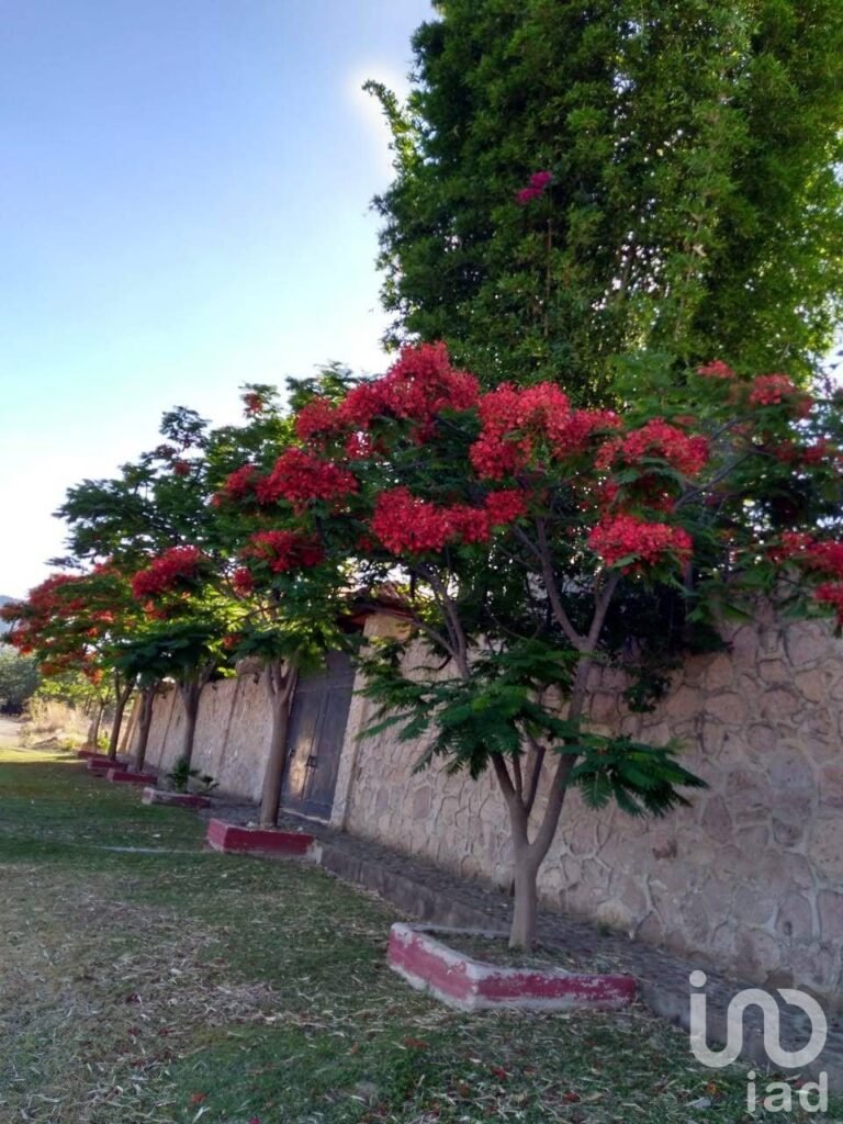 Casa de campo con terraza en venta lomas de Montechelo en Zapopan Jalisco