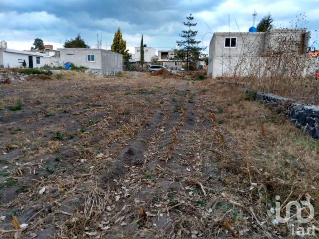 Se Vende Terreno en San Antonio Cacalotepec en Buenavista