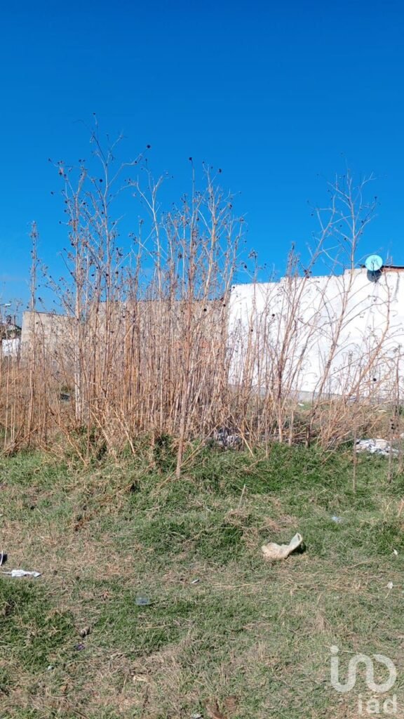 Se Vende Terreno en San Antonio Cacalotepec