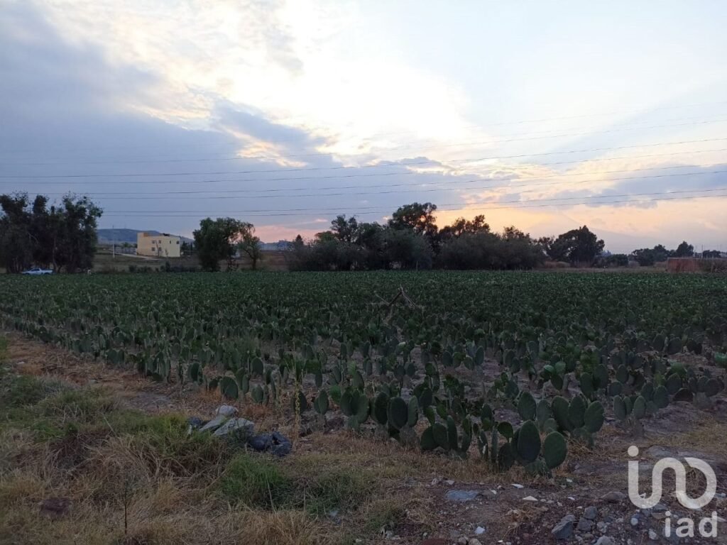 Se Vende Terreno en San Antonio Cacalotepec Por  Buenavista