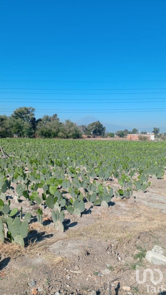Se Vende Terreno en San Antonio Cacalotepec Por  Buenavista