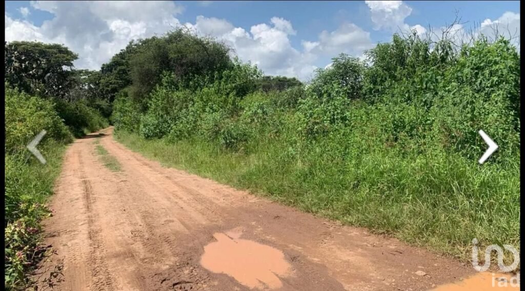 SE VENDE TERRENO DE 12 HECTAREAS EN ATEMAJAC DE BRIZUELA JALISCO